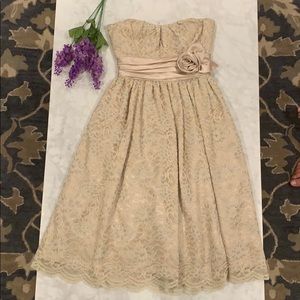 Champagne Lace Dress 🥂